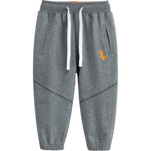 Bear Leader Kids Autumn Pure Cotton Long Pants Boys Cartoon Pattern Clothes Children Autumn Loose Casual Active Costume Clothes