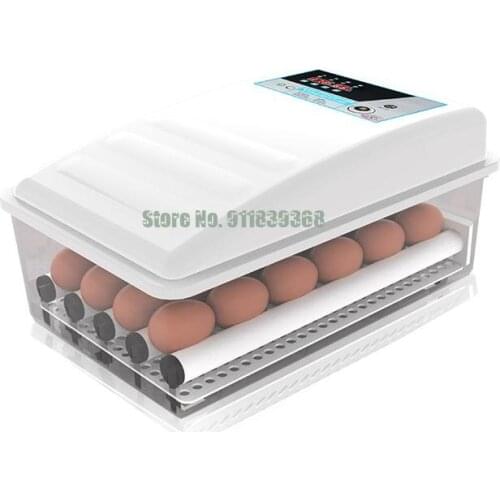 Brand New Incubator Automatic Chicken Duck Goose Seedling Incubator Water Bed Constant Temperature Incubator Small Household Int