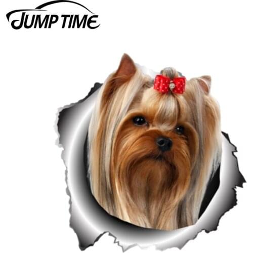 Jump Time 13cm x 12.5cm Yorkshire Terrier Sticker Torn Metal Bumper Decal Funny Car Stickers Window Trunk Animal 3D Car Styling