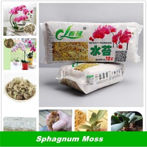 12L Nutrient soil water moss bonsai orchid phalaenopsis special gardening fertilizer Sphagnum Moss