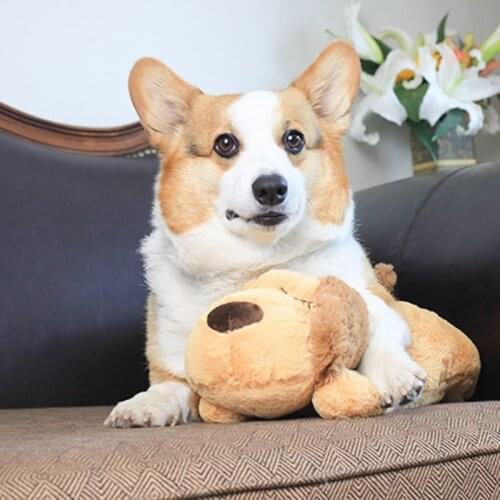 Puppy Toy With Heartbeat Puppies Separation Anxiety Dog Toy Soft Plush Sleeping Buddy Behavioral Aid Toy Игрушки Для Собак