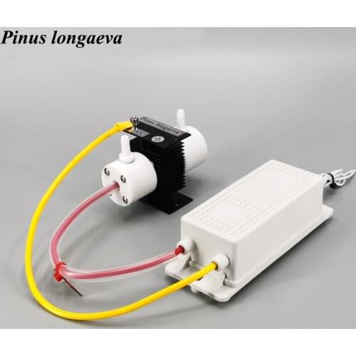 Pinuslongaeva Air Purifiers