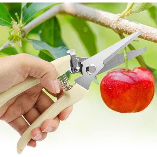 URANN Secateurs