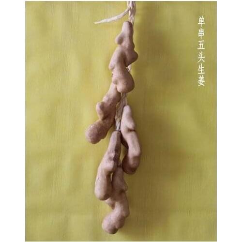 Mushroom food toy Corn ginger mushroom food toy House simulation food vegetable and fruit Childrens toys accessories kichen