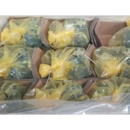 New rexroth pump R902418460 AE A4VSO40 DR/10R-VPB13N00