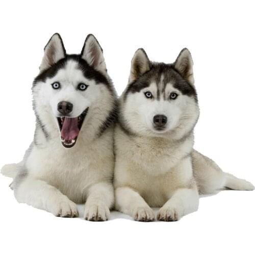 Lifelike Personality Two Huskies Dogs Car Stickers Motorcycle Decals Waterproof Sunscreen Decals Styling PVC 14cm*10.5cm