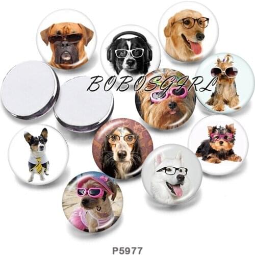 Dog Glasses 12mm/18mm/20mm/25mm/30mm Round Glass Cabochon Flat Back Making Findings P6220