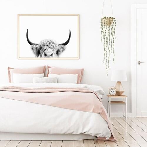 Animal Cow Poster Photography Canvas Painting Photograph Wall Art Pictures For Living Room Modern Decorative Prints On The Wall