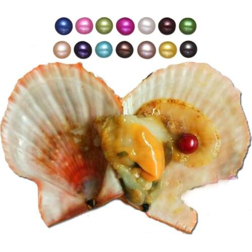 Free shipping Red Shell 27 colors for choose 6-7mm Near round akoya single skittle pearls oysters individually wrapped Birthday