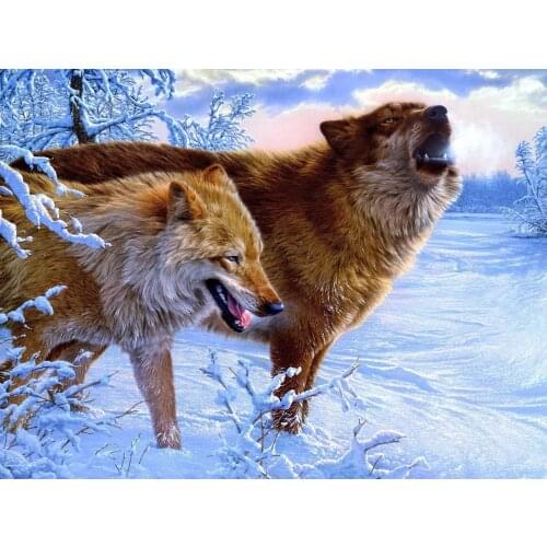 Amazing Wolves Art Film Print Silk Poster Home Wall Decor 24x36inch