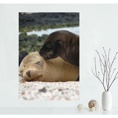 Customizable Sea Lions Poster Wall For Living Room Art Poster Decoration Silk Fabric Bright Smooth No Frame Morden Print Wall