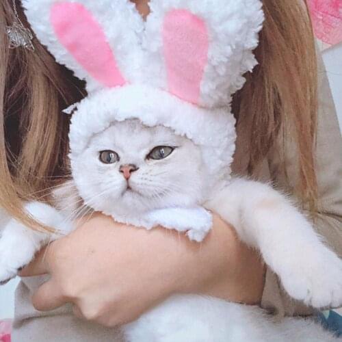 Cute Pet Costume Cosplay Rabbit Ears Cap Hat For Cat Halloween Xmas Clothes Fancy Dress With Ears Autumn Winter Party Accessorie