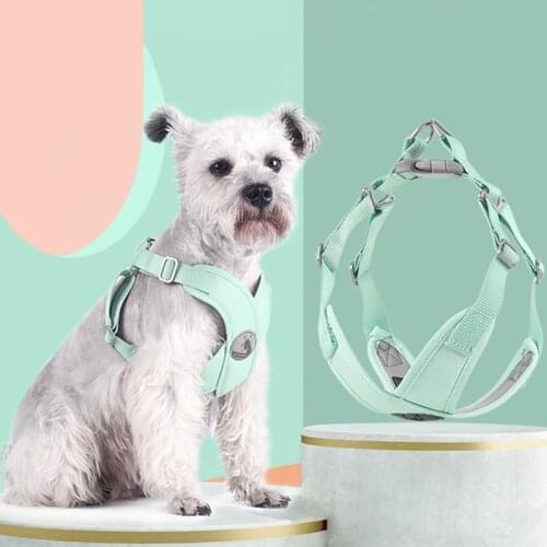 2021 new macaron pet chest strap fresh summer dog leash pet supplies dog leash