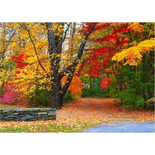 Full Square/Round 5d Diamond Painting Autumn Scenery 3d Embroidery Cross Stitch Diamond Mosaic Full Picture Rhinestone Decor F01