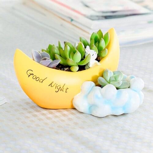 Succulent Plant Moon Resin Flowerpot Micro-landscape Bonsai with Office Green Plant Accessories Home Decorations Gift Ideas