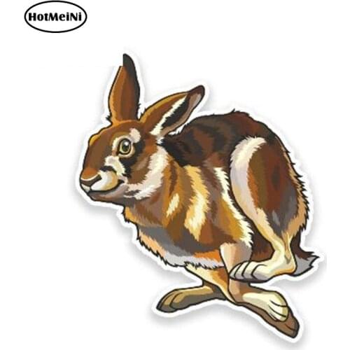 HotMeiNi 13cm x 12cm Car Sticker Happy Hare Vinyl Sticker Laptop Travel Luggage Decal Cartoon Car Styling Waterproof Graphic