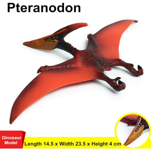 Simulation Pteranodon Model Pterosaur Figure Dinosaur Figure Animal Collector Kid Toy Gift Model Collector Animal Decor