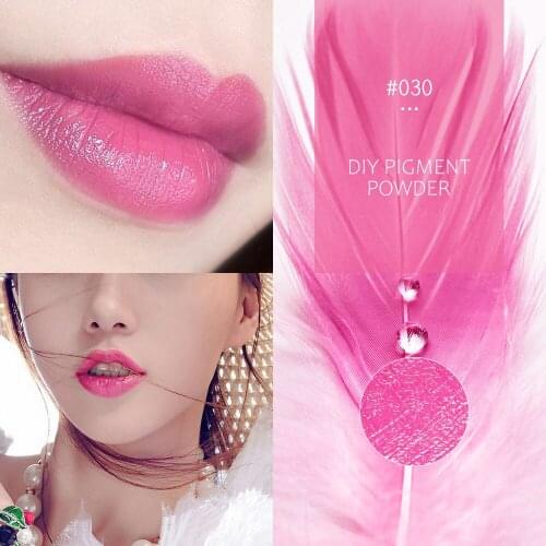 Brand New DIY Lipgloss Pigment Powder Lipstick Pigment For DIY Lipgloss Powder Pigment Make Up Tools Makeup Lip Stick Comestics