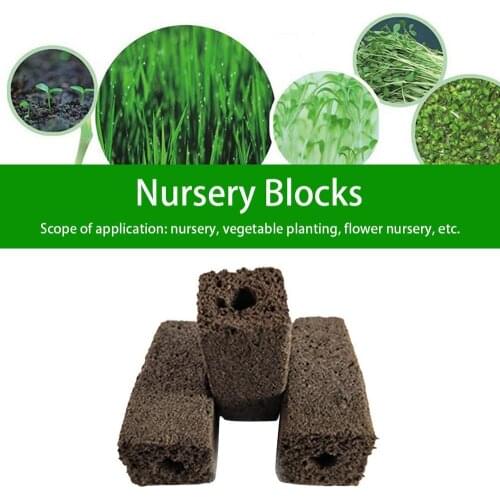 20 Pcs/Set 20mm Garden Flowers Planting The Soil Block Round Peat Pellets Seed Starting Plugs Pallet Seedlingsoil Block Nursery