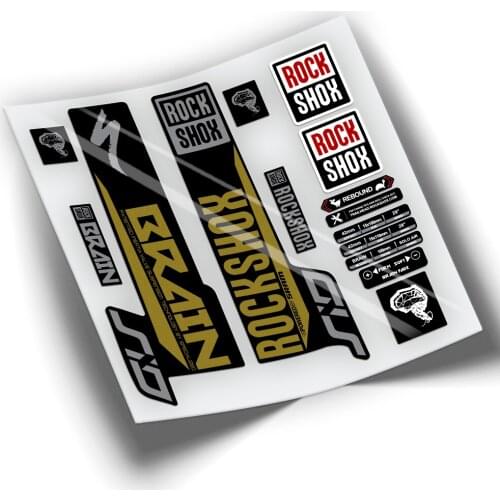 STICKERS FORK BICYCLE ROCKSHOX BRAIN 2020 BICOLOR WP400