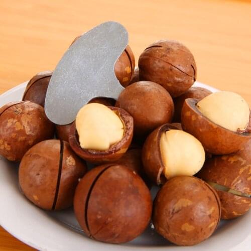 Small and Portable Macadamia Nut Opener Queensland Nut Shelling Tool