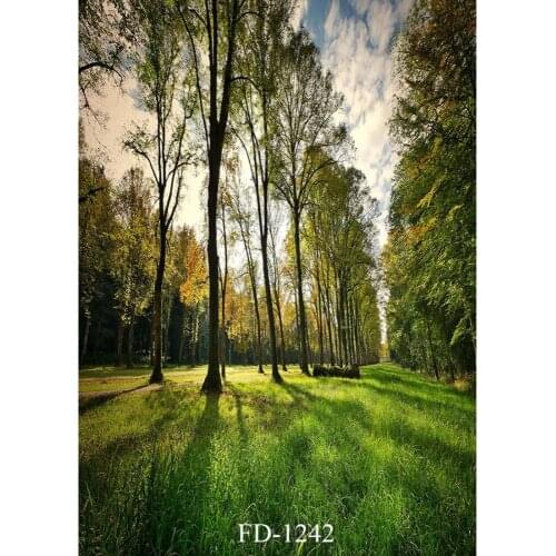 Sunlight Woods Photographic Background For Photograph Accessories Kids Baby Vinyl Cloth Photo Printed Backdrop Photo Shoot