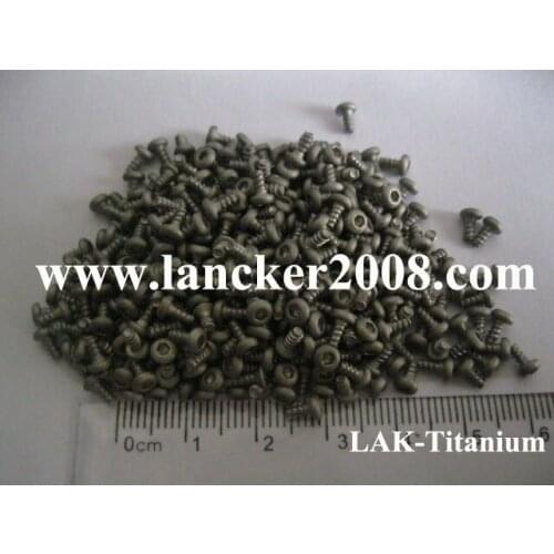 M2x4 Gr2 Hexagon socket button/round head titanium self-tapping screw Gr2