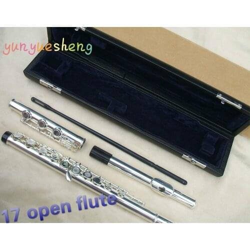 17 OPEN FLUTE KIT B FOOT CASE+GREASE+STICK+CLEANING CLOTH+SCREWDRIVER