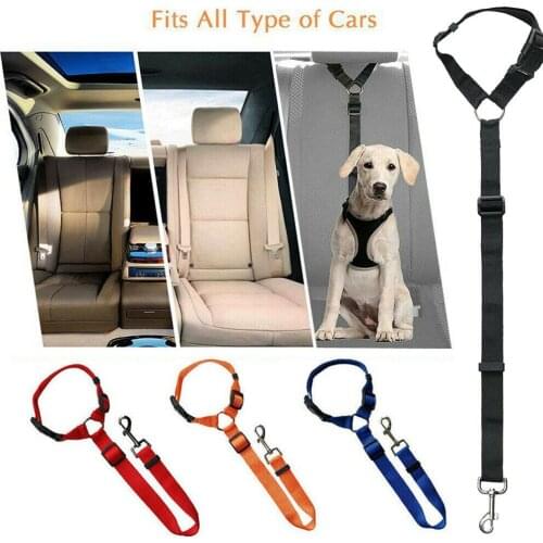 Shaggy Kid Dog Seat Belt Pet Car Safety Rope Ring Dog Car Seat Belt Rear Seat Traction Belt Hand Holding Rope Pet Supplies