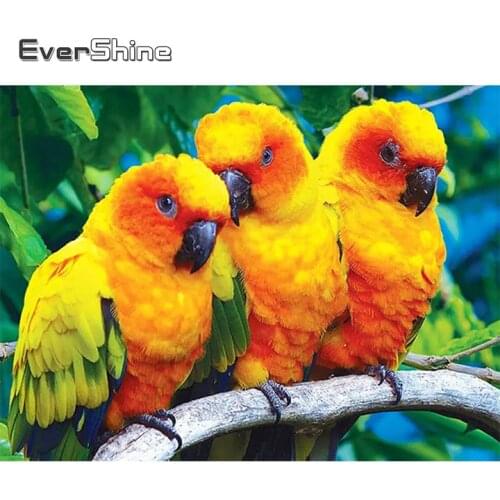 Evershine Diamond Painting Bird Full Square Round Diamond Embroidery Parrot Cross Stitch Animal New Arrival Spring Home Decor