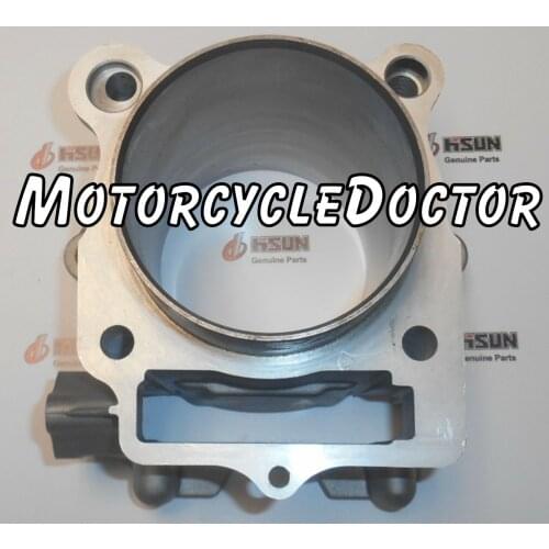 New Cylinder,UTV,400,UTV400,HiSUN,MASSIMO,Coleman,Bennche,MSU,Jug,Qlink,YS 400,TSC 12100-003-0000