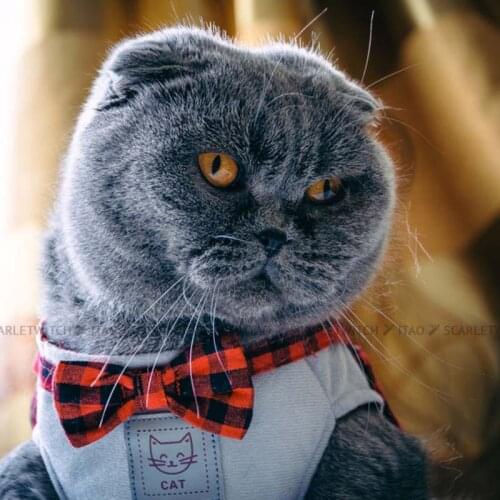 Pet Dog Leash Dog Collar Nylon Mesh Breathable Adjustable for Small and Big Dog Handle Pull Leash Dog Leash Accessories