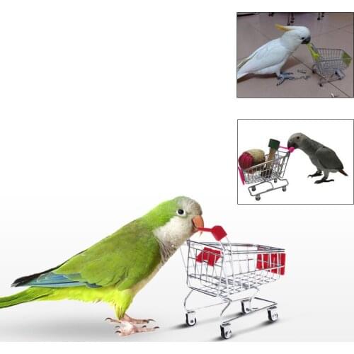 DADYPET Check Accessories