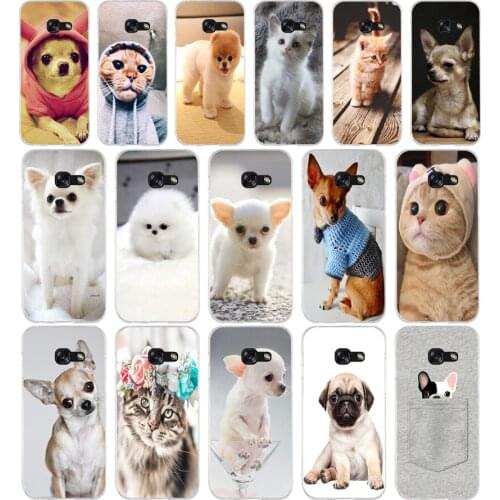 008FG Chihuahua Dog Puppy Soft Silicone Tpu Cover phone Case for Samsung a3 2016 a5 2017 a6 plus a7 a8 2018 s6 7 8 9