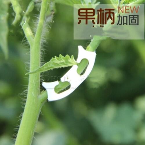 100Pcs Tomato Anti-bending Securing Clip Greenhouse Fruit Grafting Fixing Clip Support Plant Stem Grow Upright Anti Bend Clips