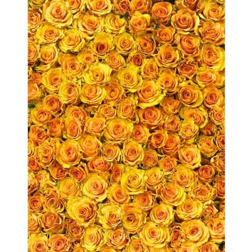 Newborn Backdrops Customized Computer Printed Yellow Flowers Vinyl Cloth Photography Background for Photo Studio Children Baby