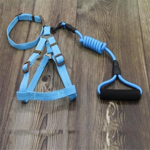 Classic combination dog leash Nylon Pet Leash for dog & cat Running or Training Collar and Harness 001