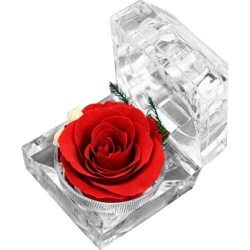 Eternal Preserved Rose Flower Ring Box Wedding Engagement Jewelry Display Holder Gift for Love 2021New