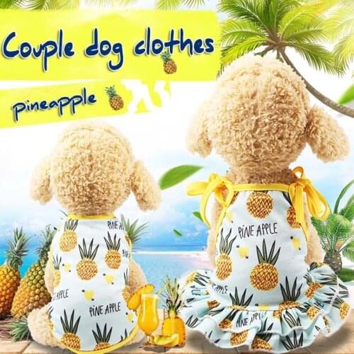 Pineapple Couple Dog Dresses For Small Dogs Chihuahua Summer Puppy Dress Pomeranian Princess Tutu Shih Tzu Yorkshire Pet Clothes