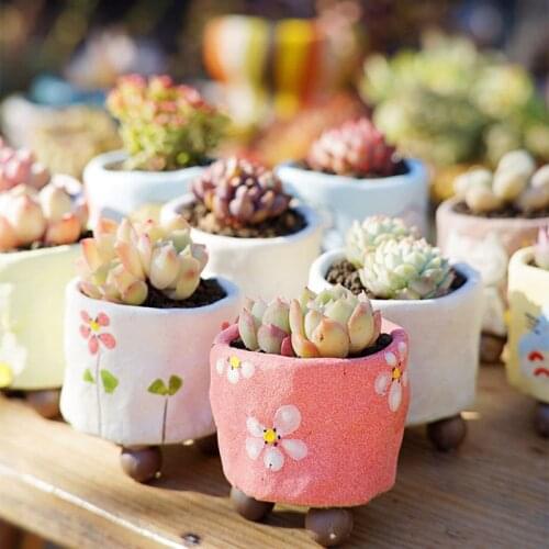 Mini Succulent ceramic pot Maceteros decorativos Garden accessories Suculentas plant pots for flowers blumentopf home decor olla