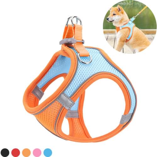 Orange Pet Leash Cat Vest Red Dog Chest Harness Adjustable Nylon Breathable Reflective Outdoor Walking Dog Chest Strap Kitten