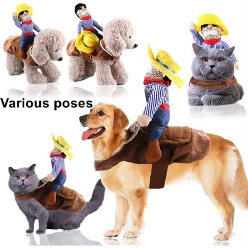 Funny Cute Dog Costumes Cowboy Rider Cosplay Pet Clothes Knight Style For Halloween Novelty Leotard Coat Role Play Cat Supplier