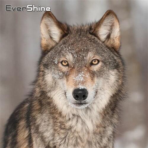 Evershine Wolf Diamond Painting Full Drill Square Cross Stitch Diamond Mosaic Animals Embroidery Beaded Kit Crystal Painting DIY