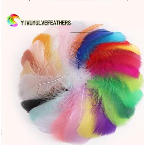 100pcs Natural Swan Feathers Soft Goose Plumes Warm Color Dyed Accessory 8-12CM Swan Decorative feathers for Craft Plumes