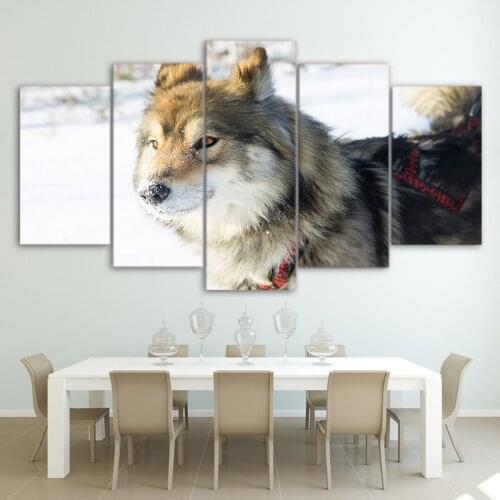 5 Pieces Snow Wolf Poster Animal Hd Printed Modern Canvas Painting Wall Art Modular Pictures For Living Room Home Decor