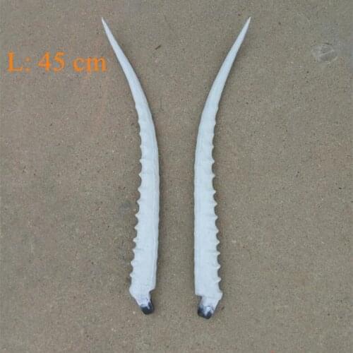 45cm Antelope antler white/black two color for option