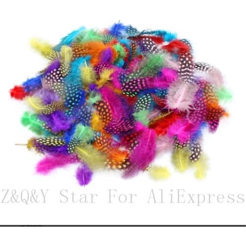 5-10CM (2-4 inches) natural guinea fowl feather 100PCS dyed mixed color DIY home wedding decoration crafts accessories feather