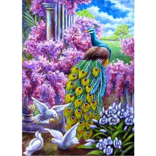 Diamond Painting Hyacinth peacock Diy Diamond Embroidery flower animal Mosaic diamond Rhinestone paitnings by numberZP-1905