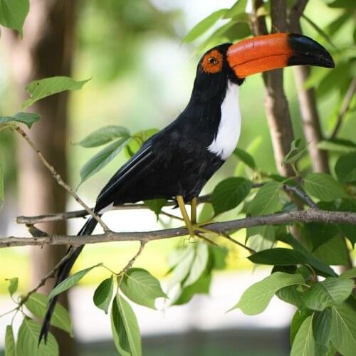 ZILIN NEW Simulated Toco Toucan Vivid and Beautiful about 40cm Long