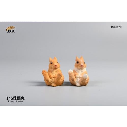 1/6 Pygmy Rabbit Figure Model JXK057 Brachylagus Idahoensis Animal Statue